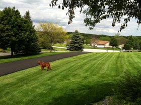 Asphalt Driveway Paving