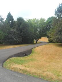 asphalt driveway overlay